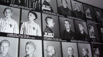 Holocaust Comparisons Are Stupid and Self-defeating—But Possibly Revealing as Well